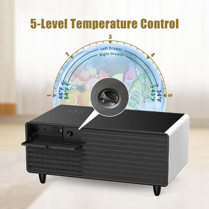 Modern Smart Mini Coffee Table with Built in Fridge-Black or White